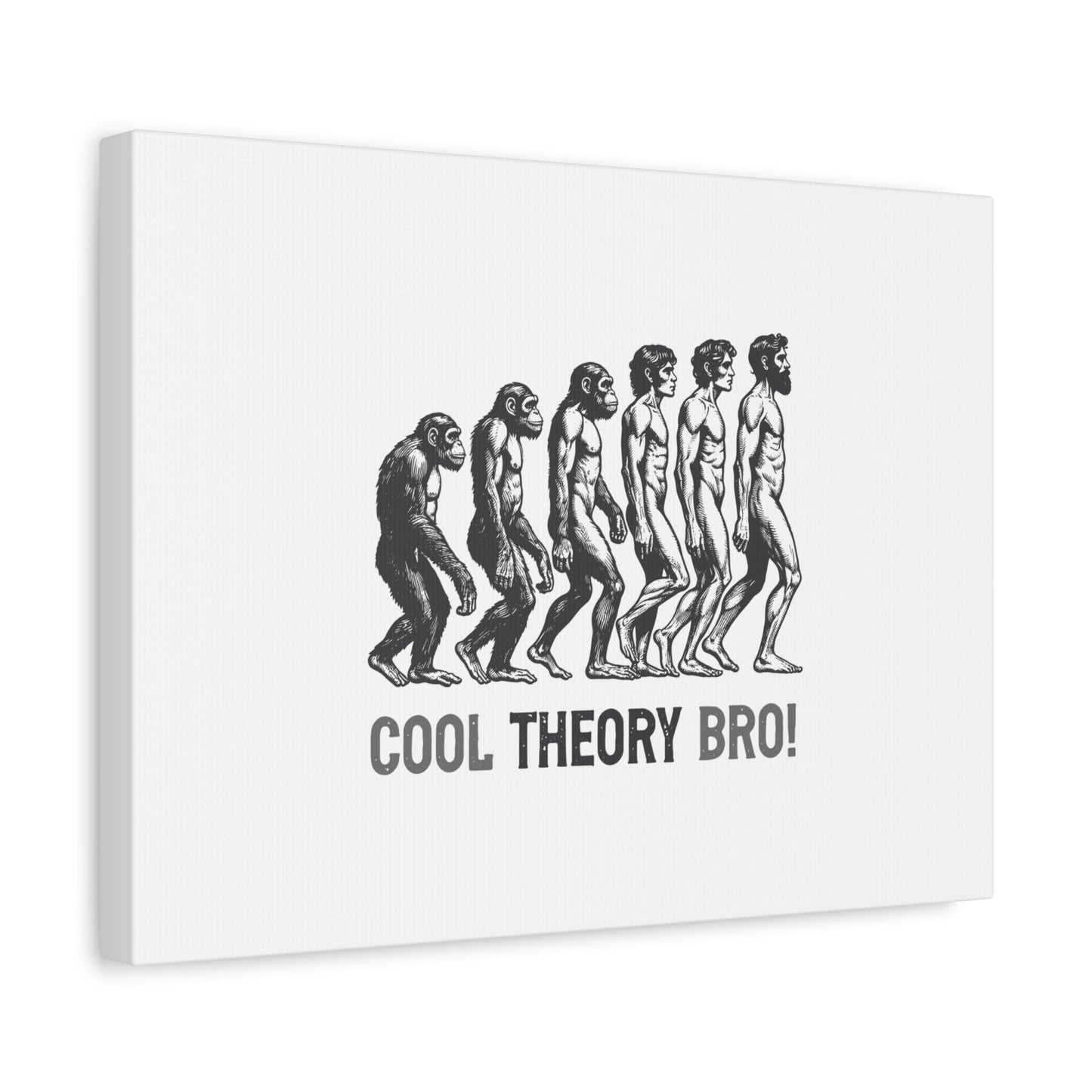 Evolution Art Canvas, Wall Decor, Cool Theory Bro, Science Gift, Humorous Artwork, Academic Gift