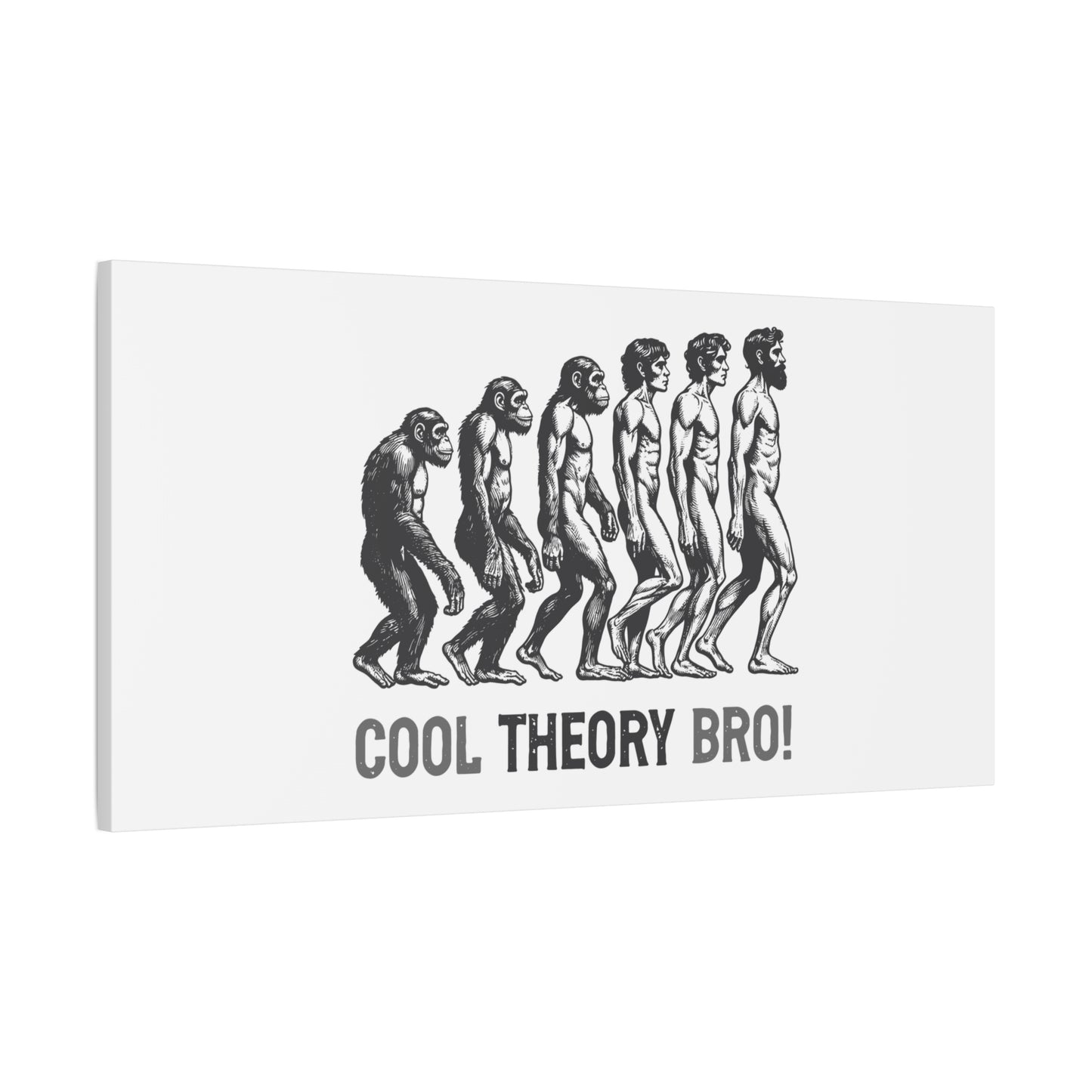 Evolution Art Canvas, Wall Decor, Cool Theory Bro, Science Gift, Humorous Artwork, Academic Gift