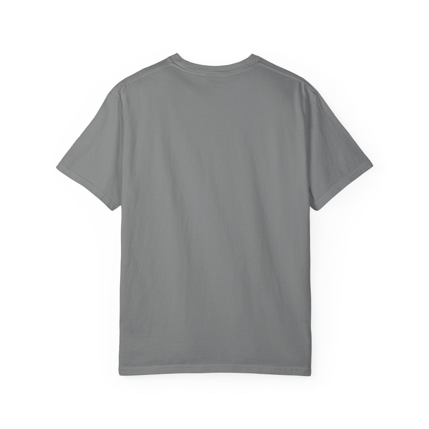 Truth & Trends Unisex Garment-Dyed T-shirt, Motivational Tee, Inspirational Shirt, Casual Wear, Faith-Based Apparel
