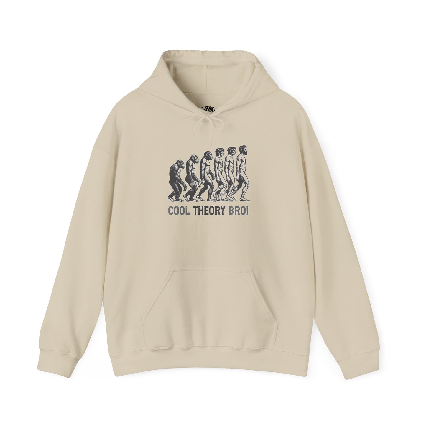 Cool Theory Bro! Unisex Heavy Blend Hooded Sweatshirt, Funny Sweatshirt, Geeky Gift, Casual Wear, Evolution Hoodie, Gift for Friends