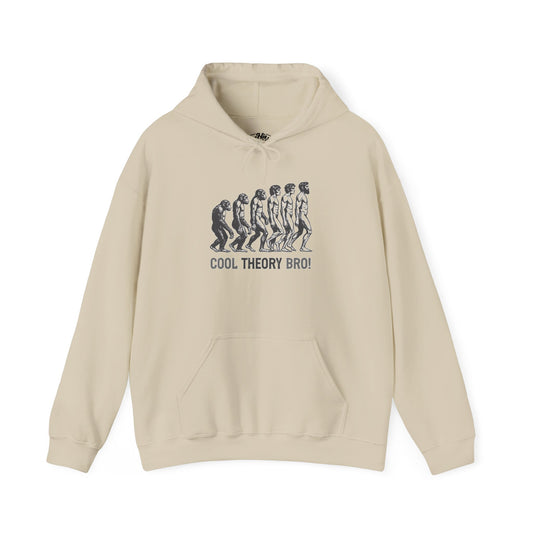 Cool Theory Bro! Unisex Heavy Blend Hooded Sweatshirt, Funny Sweatshirt, Geeky Gift, Casual Wear, Evolution Hoodie, Gift for Friends