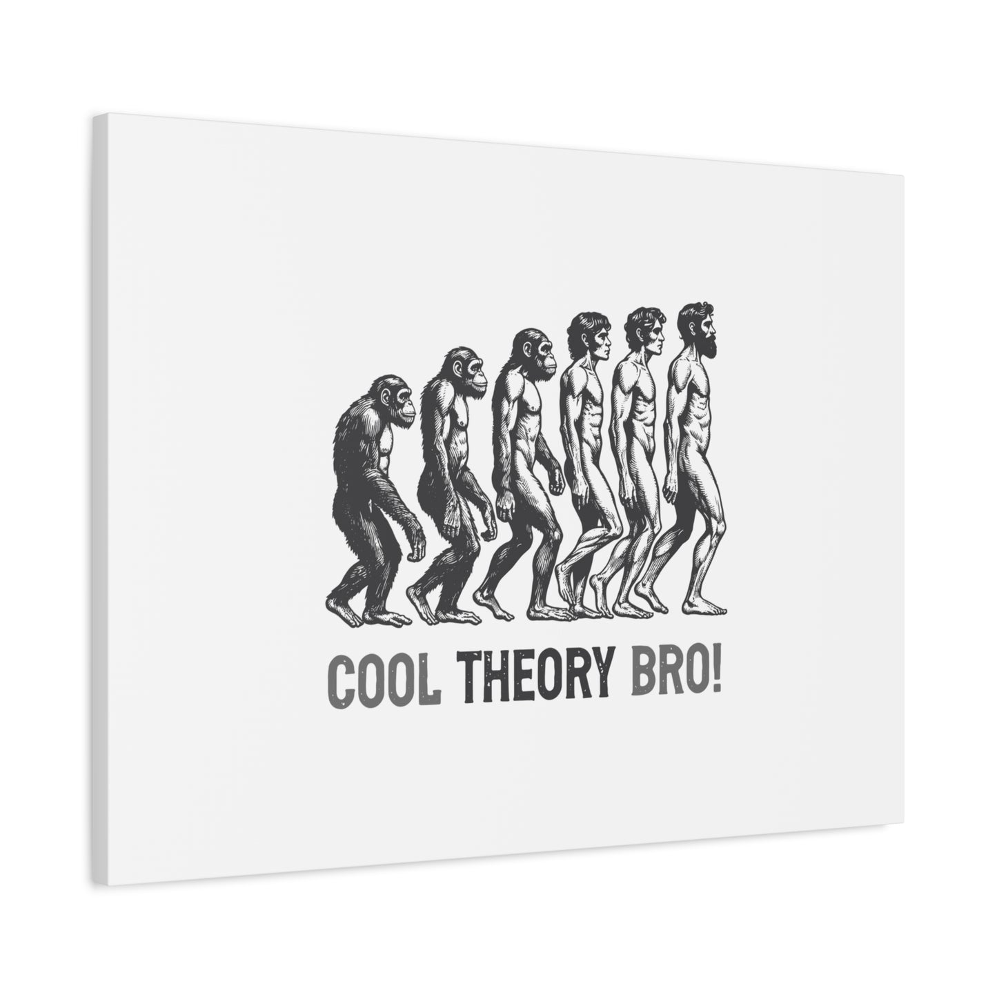 Evolution Art Canvas, Wall Decor, Cool Theory Bro, Science Gift, Humorous Artwork, Academic Gift