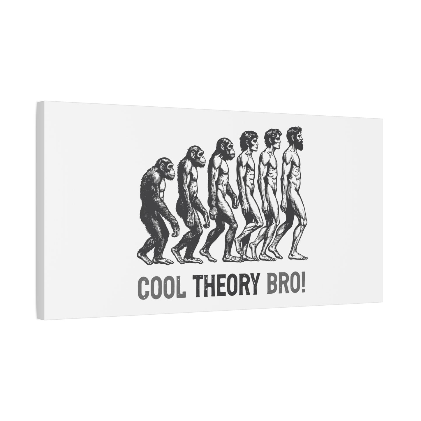 Evolution Art Canvas, Wall Decor, Cool Theory Bro, Science Gift, Humorous Artwork, Academic Gift