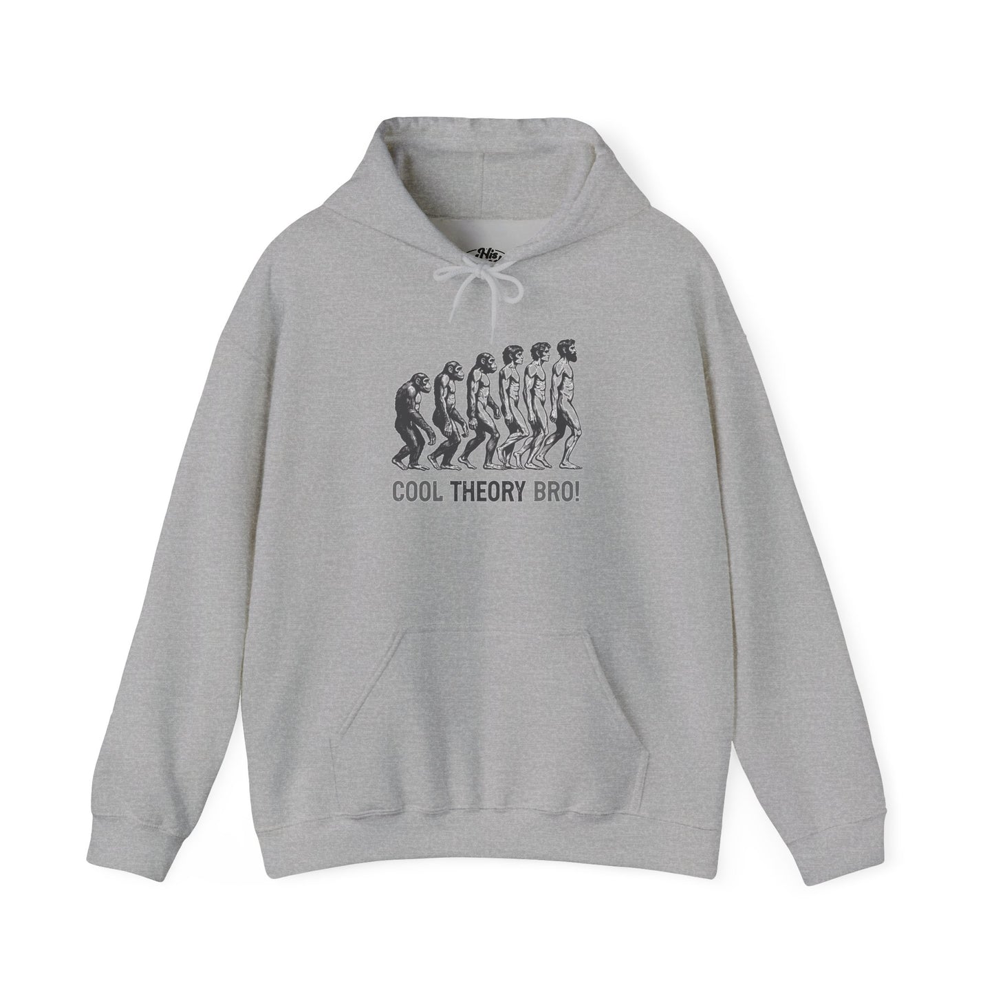 Cool Theory Bro! Unisex Heavy Blend Hooded Sweatshirt, Funny Sweatshirt, Geeky Gift, Casual Wear, Evolution Hoodie, Gift for Friends