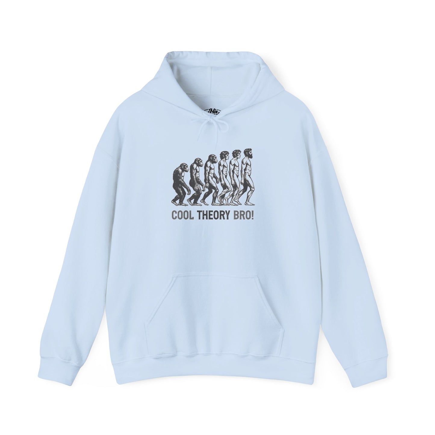 Cool Theory Bro! Unisex Heavy Blend Hooded Sweatshirt, Funny Sweatshirt, Geeky Gift, Casual Wear, Evolution Hoodie, Gift for Friends