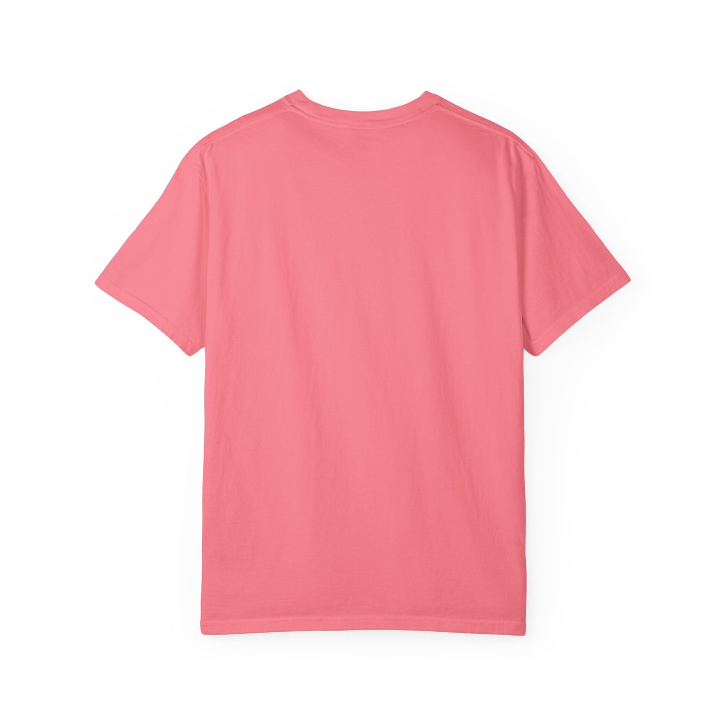 Truth & Trends Unisex Garment-Dyed T-shirt, Motivational Tee, Inspirational Shirt, Casual Wear, Faith-Based Apparel