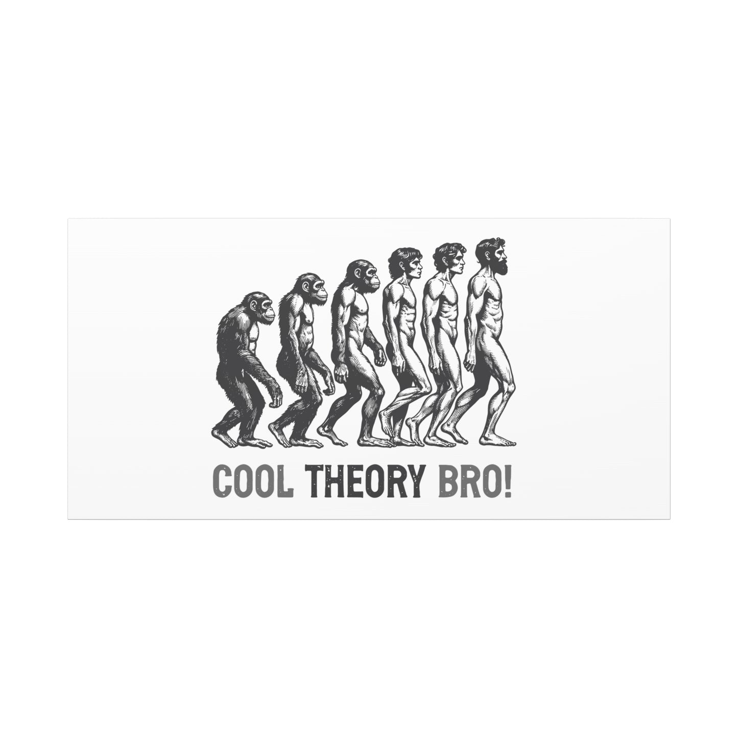 Evolution Art Canvas, Wall Decor, Cool Theory Bro, Science Gift, Humorous Artwork, Academic Gift