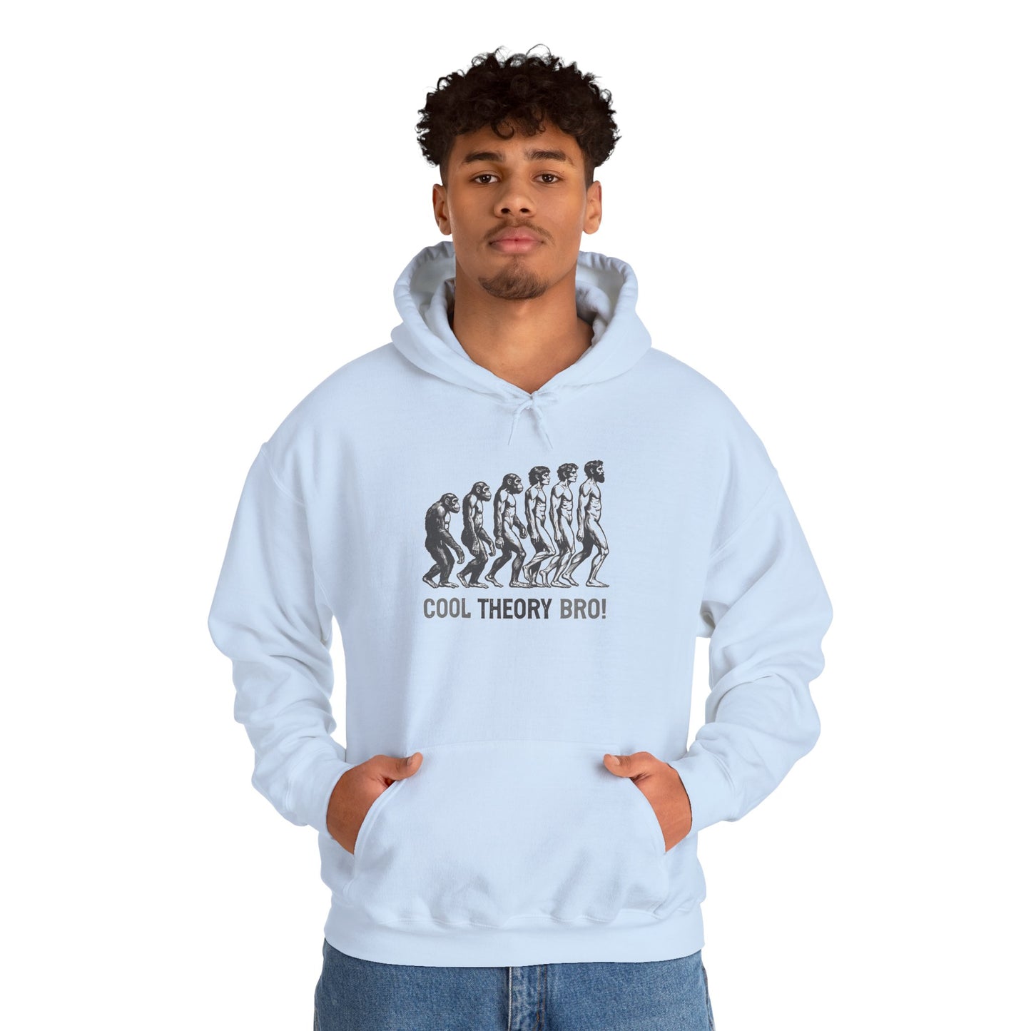 Cool Theory Bro! Unisex Heavy Blend Hooded Sweatshirt, Funny Sweatshirt, Geeky Gift, Casual Wear, Evolution Hoodie, Gift for Friends