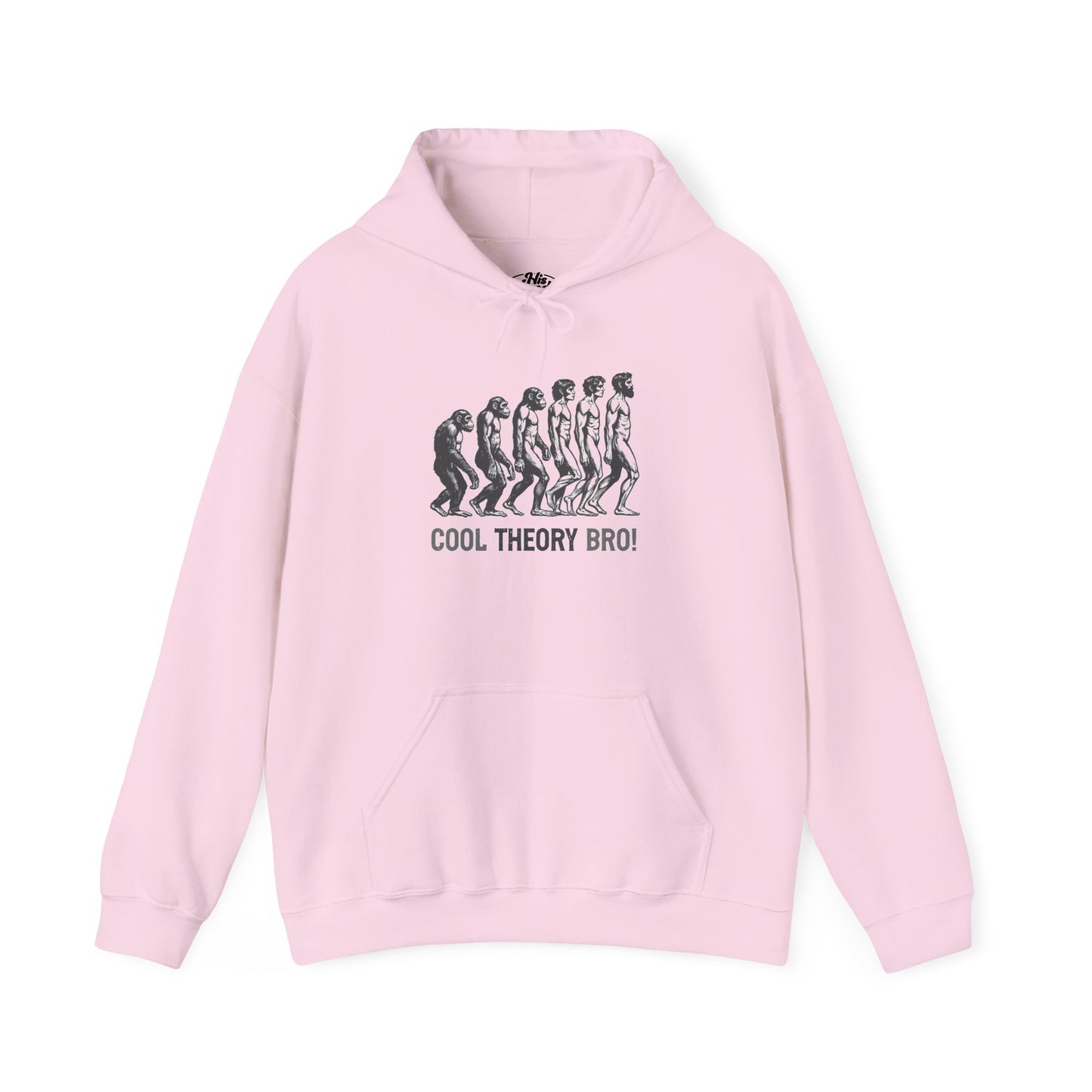 Cool Theory Bro! Unisex Heavy Blend Hooded Sweatshirt, Funny Sweatshirt, Geeky Gift, Casual Wear, Evolution Hoodie, Gift for Friends