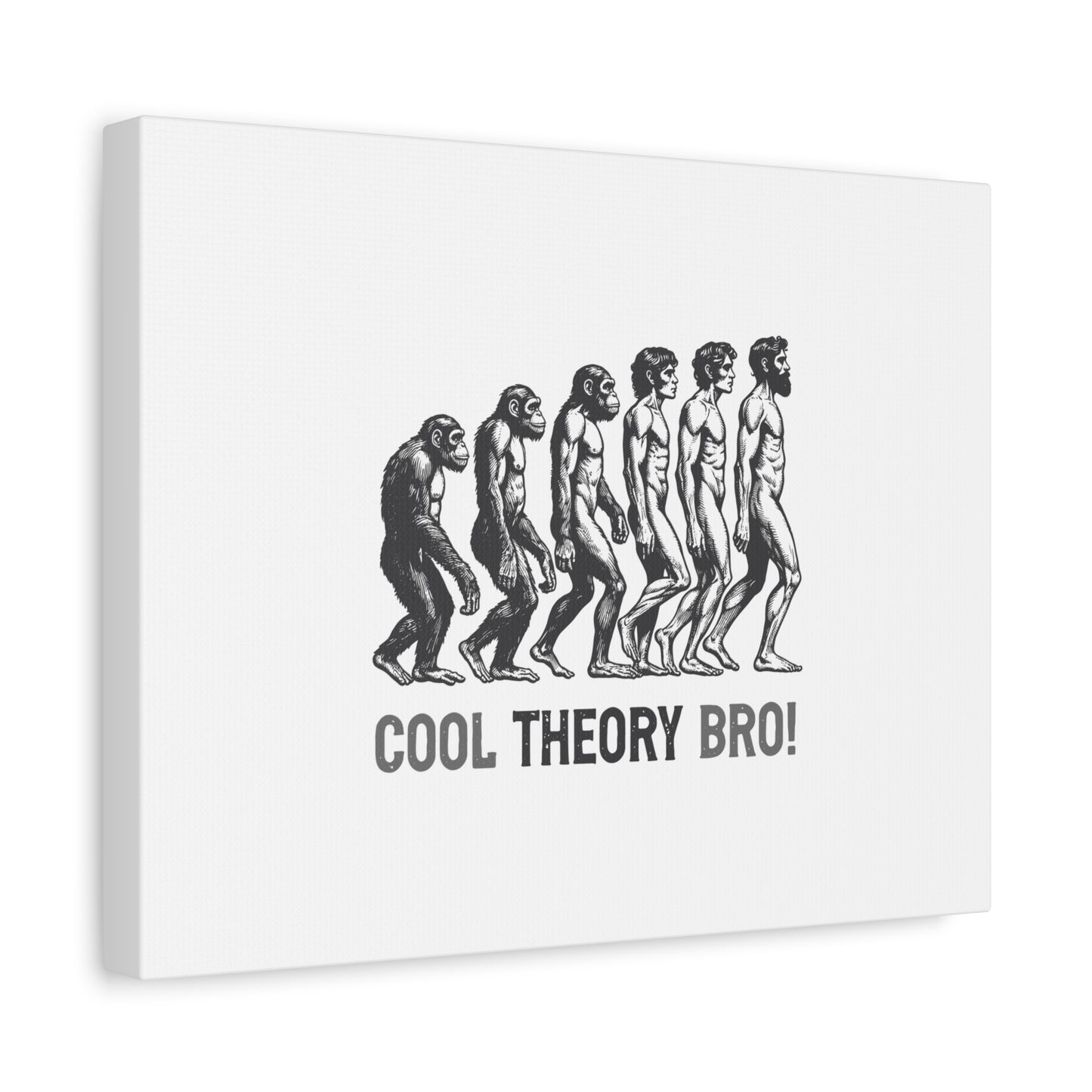 Evolution Art Canvas, Wall Decor, Cool Theory Bro, Science Gift, Humorous Artwork, Academic Gift