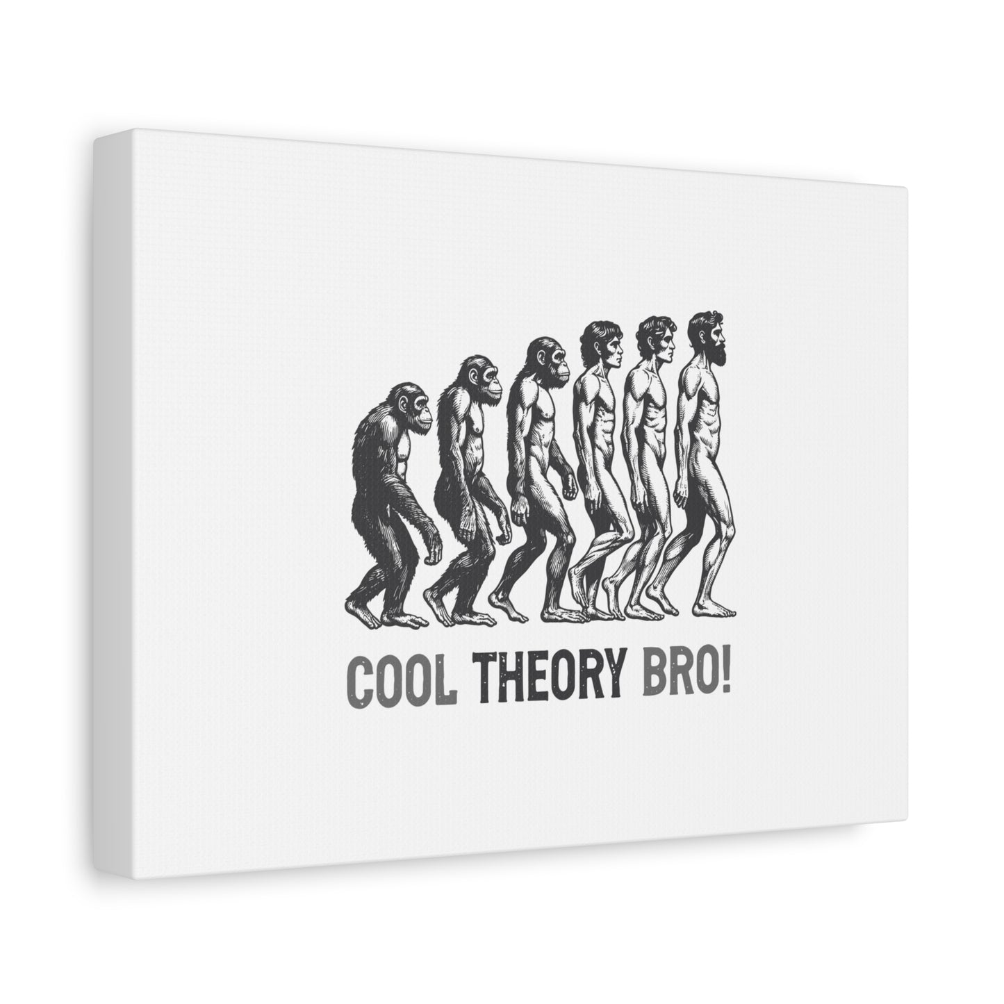 Evolution Art Canvas, Wall Decor, Cool Theory Bro, Science Gift, Humorous Artwork, Academic Gift