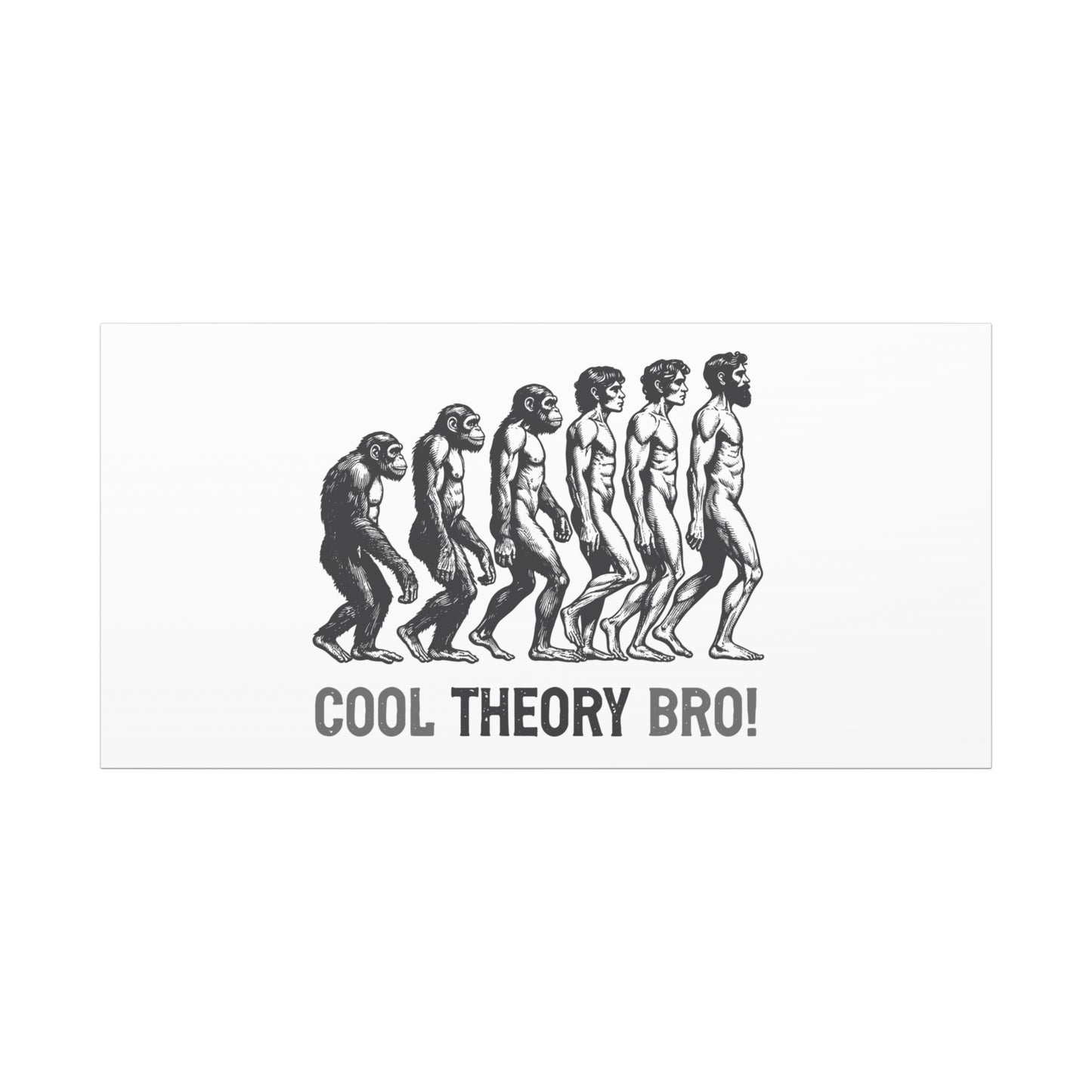 Evolution Art Canvas, Wall Decor, Cool Theory Bro, Science Gift, Humorous Artwork, Academic Gift