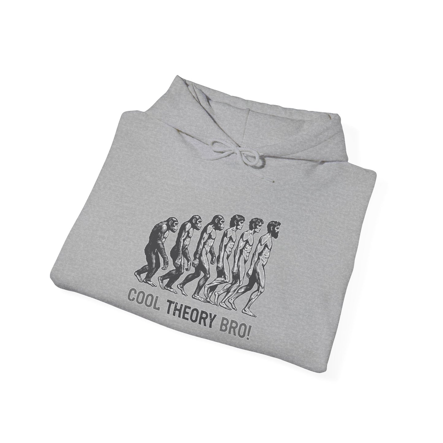 Cool Theory Bro! Unisex Heavy Blend Hooded Sweatshirt, Funny Sweatshirt, Geeky Gift, Casual Wear, Evolution Hoodie, Gift for Friends