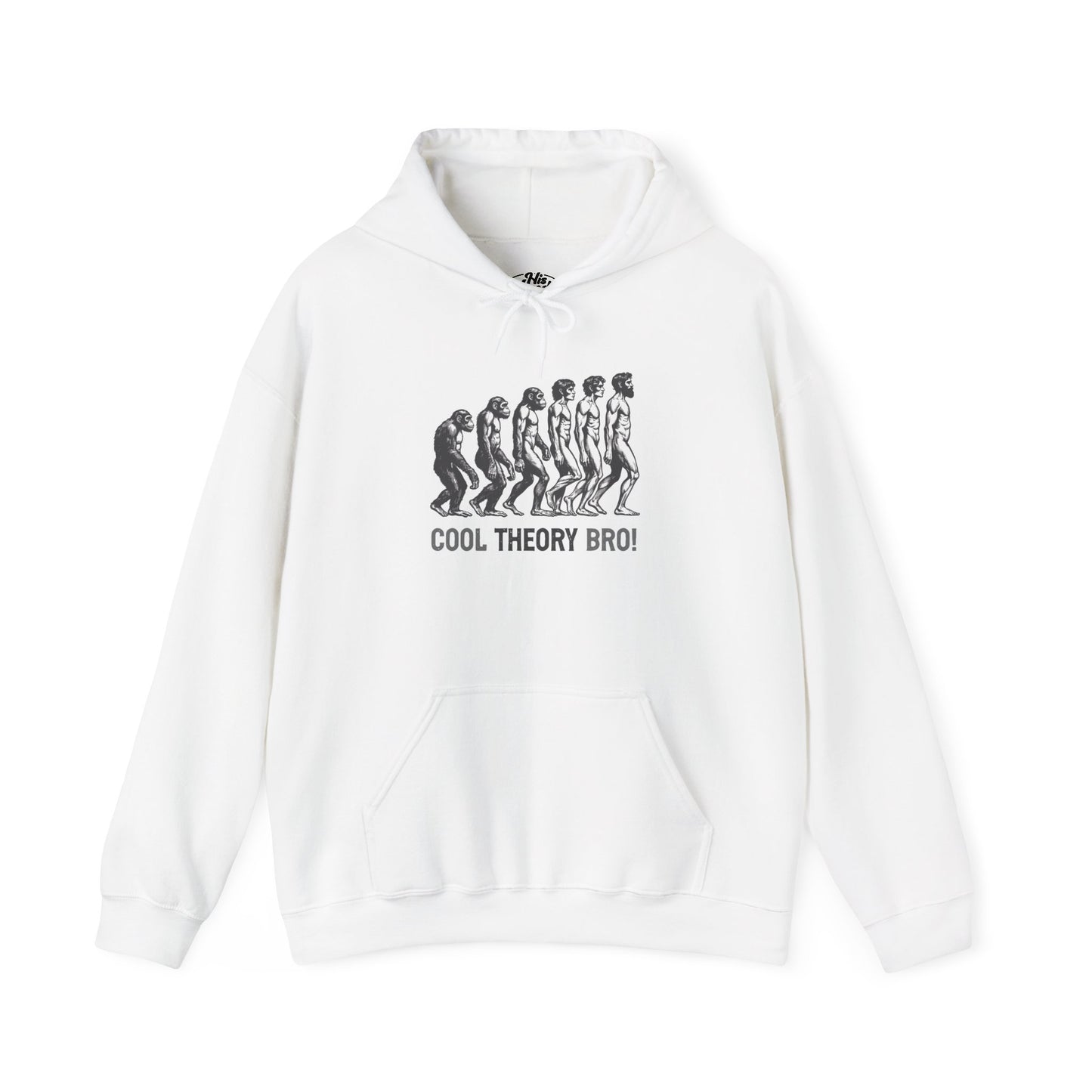 Cool Theory Bro! Unisex Heavy Blend Hooded Sweatshirt, Funny Sweatshirt, Geeky Gift, Casual Wear, Evolution Hoodie, Gift for Friends