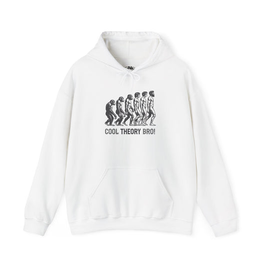Cool Theory Bro! Unisex Heavy Blend Hooded Sweatshirt, Funny Sweatshirt, Geeky Gift, Casual Wear, Evolution Hoodie, Gift for Friends